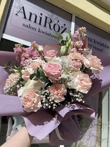 AniRóż